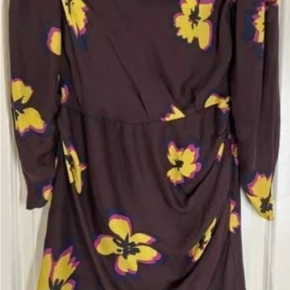 ALC Floral Maroon Mini Dress